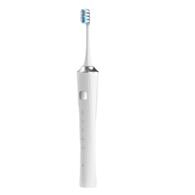 Амны хөндийн арчилгааны үйлдвэр USB цэнэглэдэг чичиргээт автомат Sonic цахилгаан шүдний сойз (1)