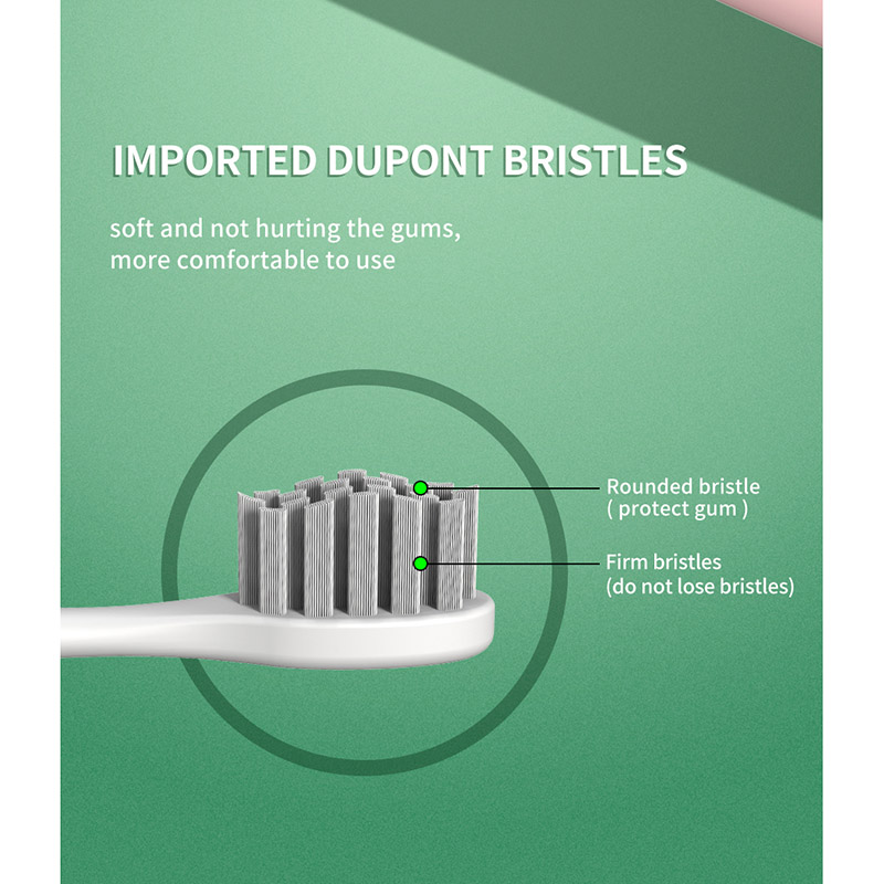 IMPORTED DUPONT BRISTLES