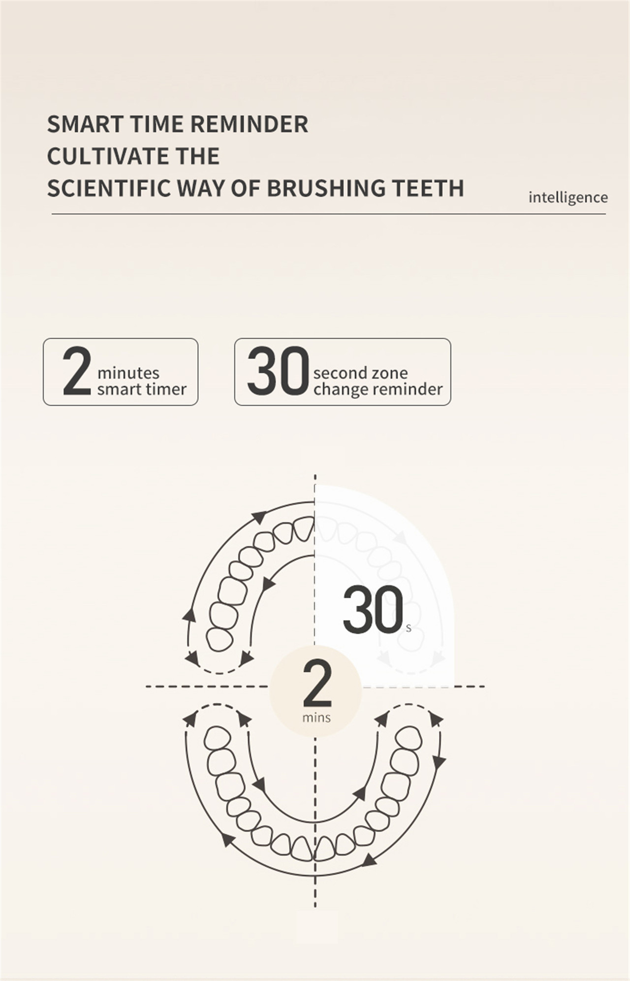 Cepillo de dentes sónico para adultos Portab eléctrico fácil de poñer no peto (4)