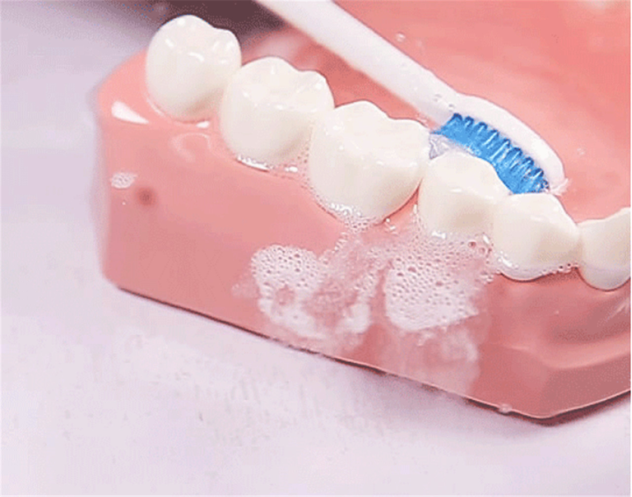 Cepillo de dentes sónico para adultos Portab eléctrico fácil de poñer no peto (8)