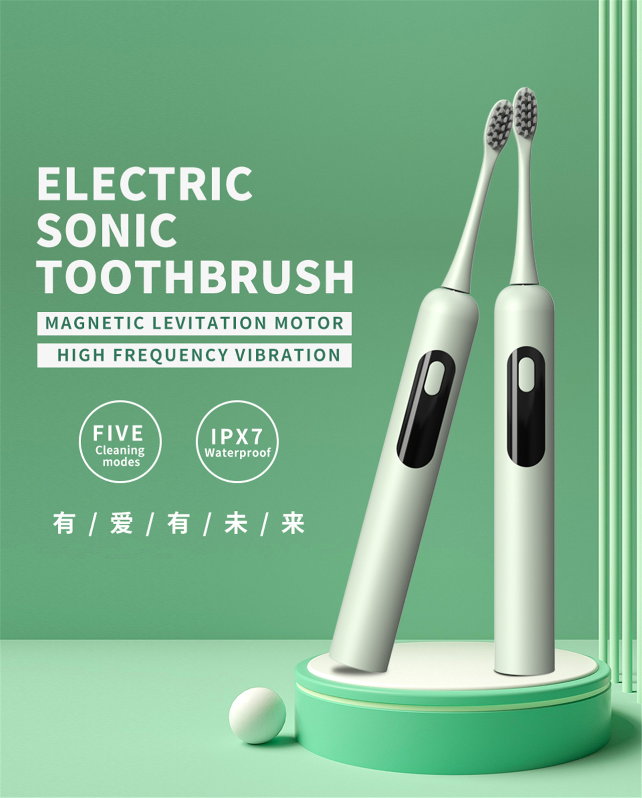 Olupese Ọjọgbọn Dental Sonic Brush Teeth Bleaching Electric Toothbrush (1)