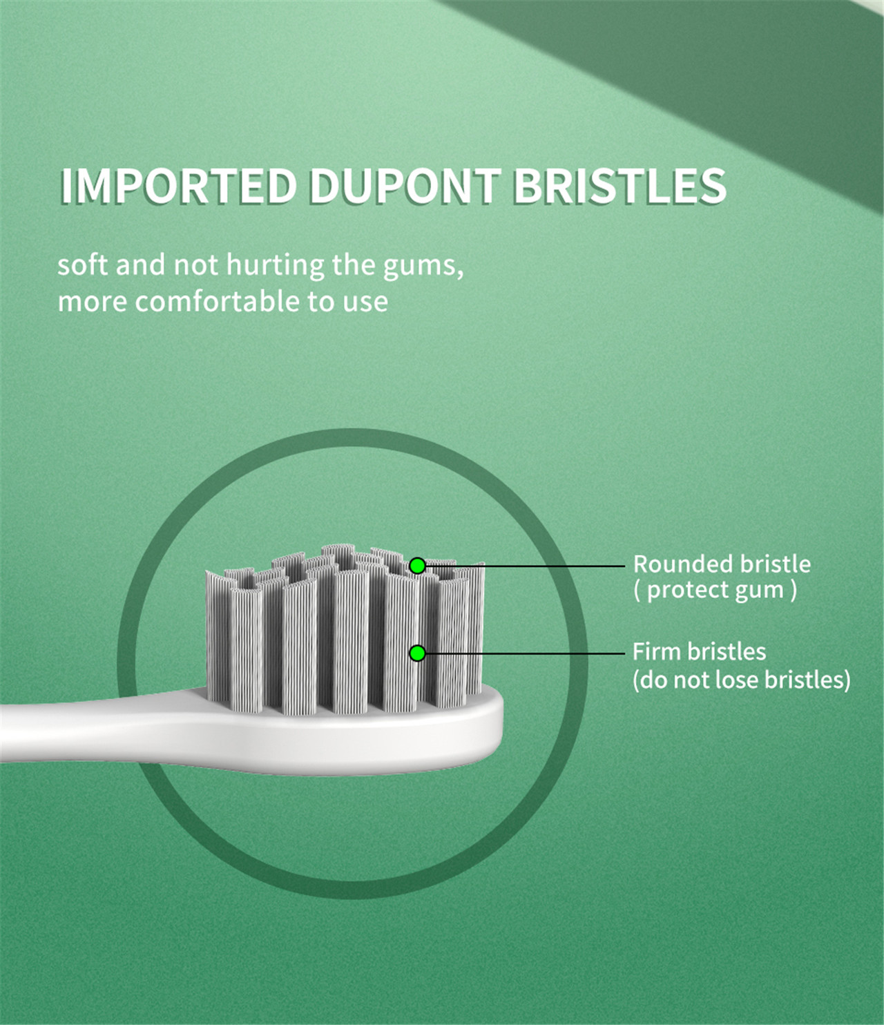 Профессиональный производитель стоматологической звуковой щетки для отбеливания зубов с электрической зубной щеткой (6)